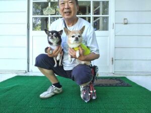 我が家の愛犬うにちゃん・いくらちゃん