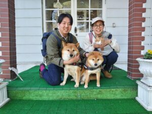 我が家の愛犬せごどん・茶々・九兵衛