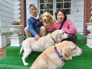 我が家の愛犬さくらちゃん