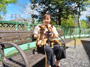 我が家の愛犬サンリーくん・ランシーちゃん