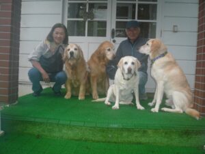 我が家の愛犬ダイくんとロジャーくん