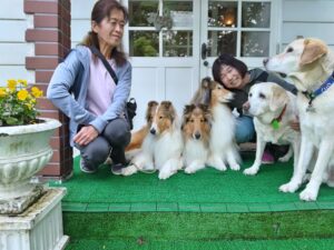 我が家の愛犬エリーちゃん・アリスちゃん・ニコちゃん・