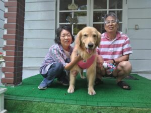 我が家の愛犬さくらちゃん