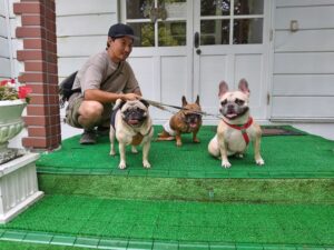 我が家の愛犬だいずくん・こまち・つららちゃん