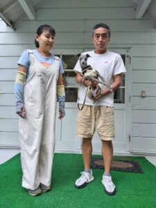 我が家の愛犬ルナちゃん