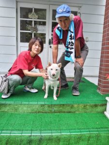 我が家の愛犬ふわりちゃん