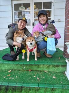 我が家の愛犬せごどん・茶々・九兵衛