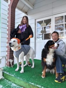 我が家の愛犬ハク・あんずちゃん