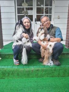 我が家の愛犬ちゅら・ふいこくん
