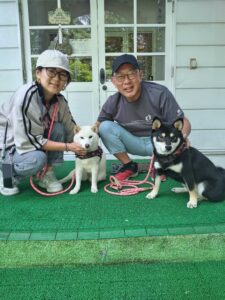 我が家の愛犬まどか・なぎさちゃん