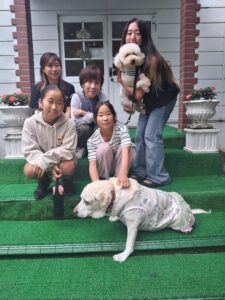 我が家の愛犬空くん