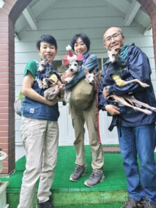 我が家の愛犬シオン・カレン・小雪・きっかちゃん