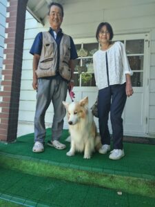 我が家の愛犬ゴンくん