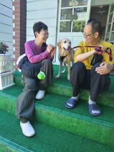 我が家の愛犬ラブ太くん