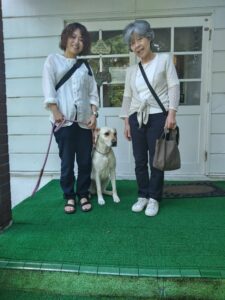 我が家の愛犬さくらんぼちゃん