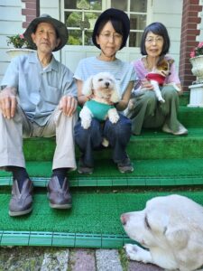 我が家の愛犬みゆ・れいちゃん