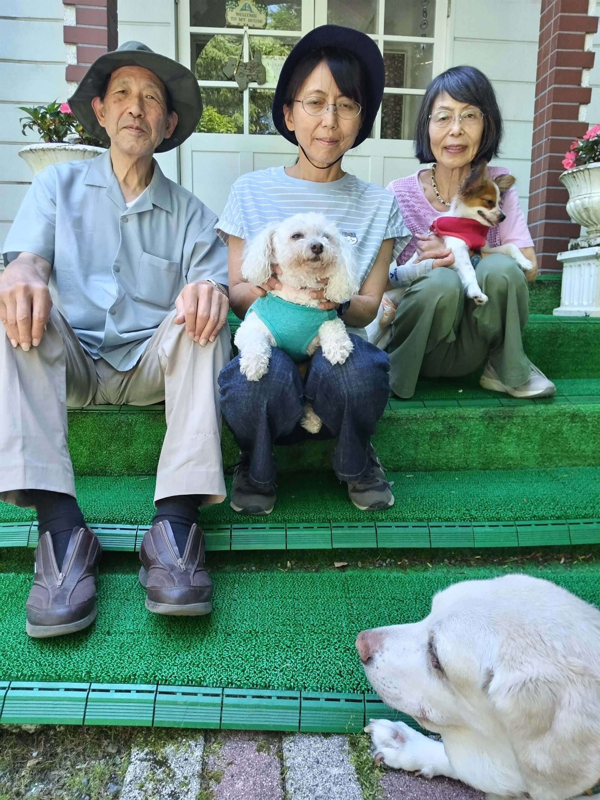 我が家の愛犬みゆ・れいちゃん