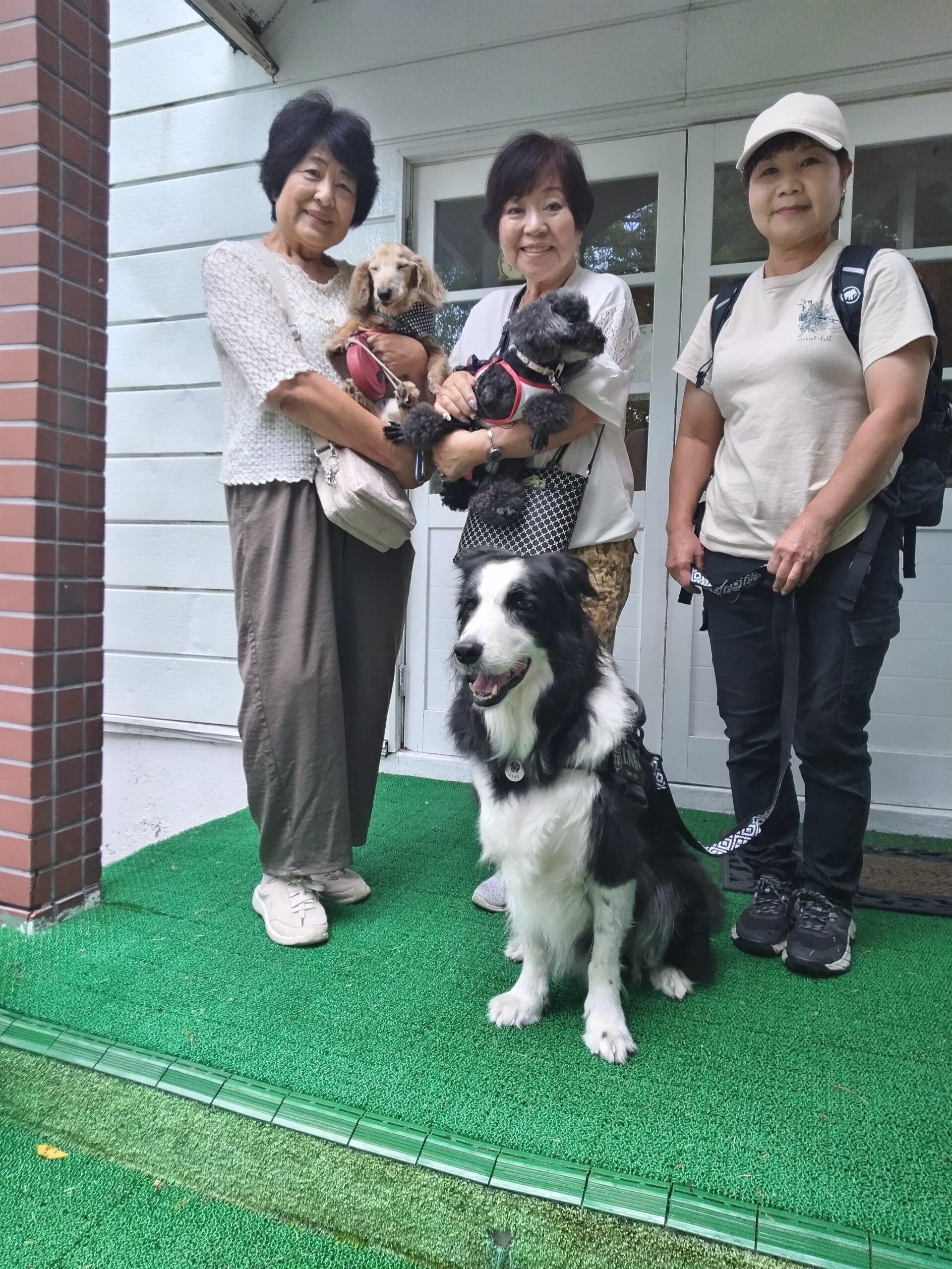 我が家の愛犬ラッキー・リンクくん・レイちゃん