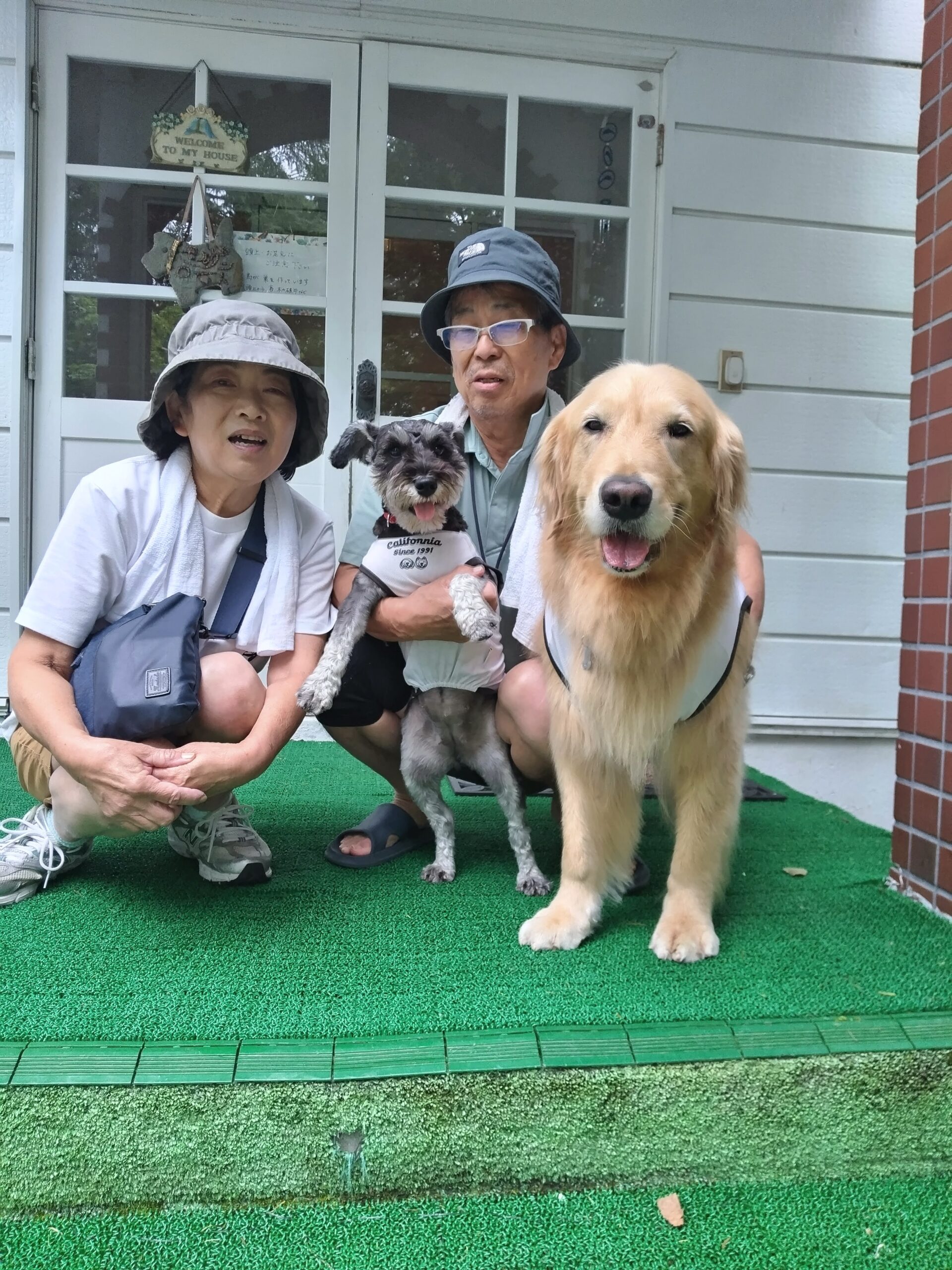 我が家の愛犬さくら・すみれちゃん