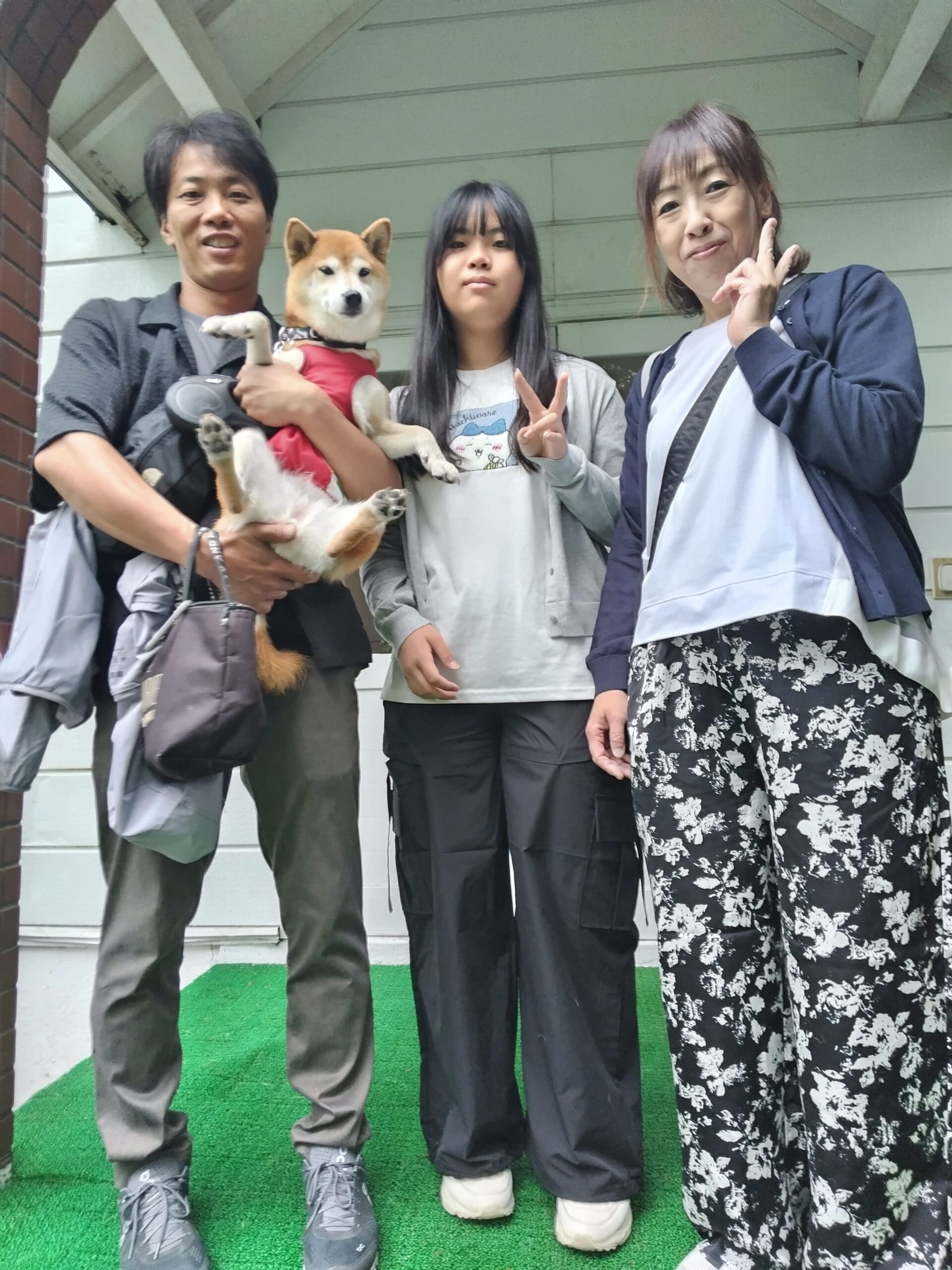 我が家の愛犬こむぎちゃん