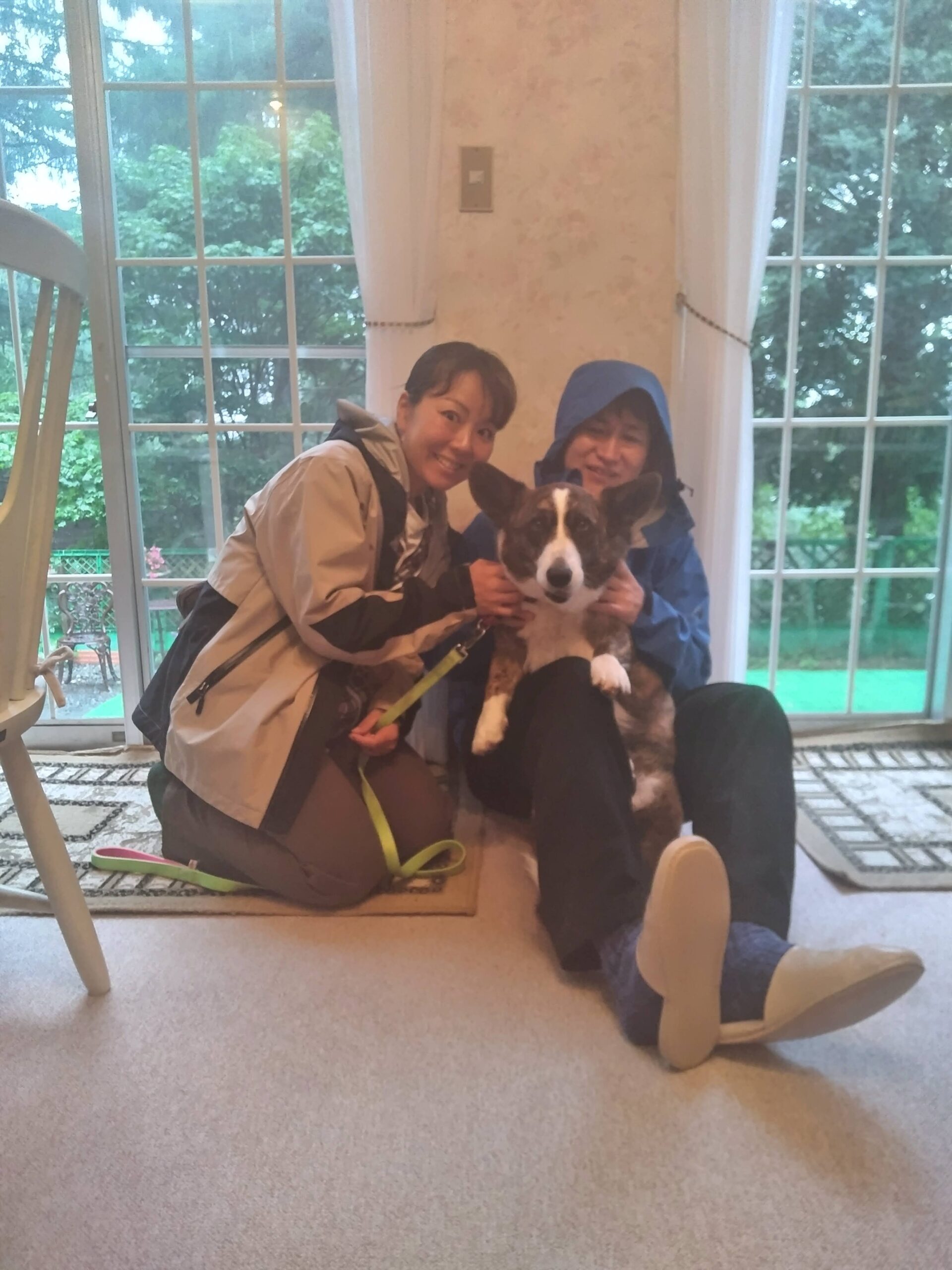 我が家の愛犬ライスちゃん