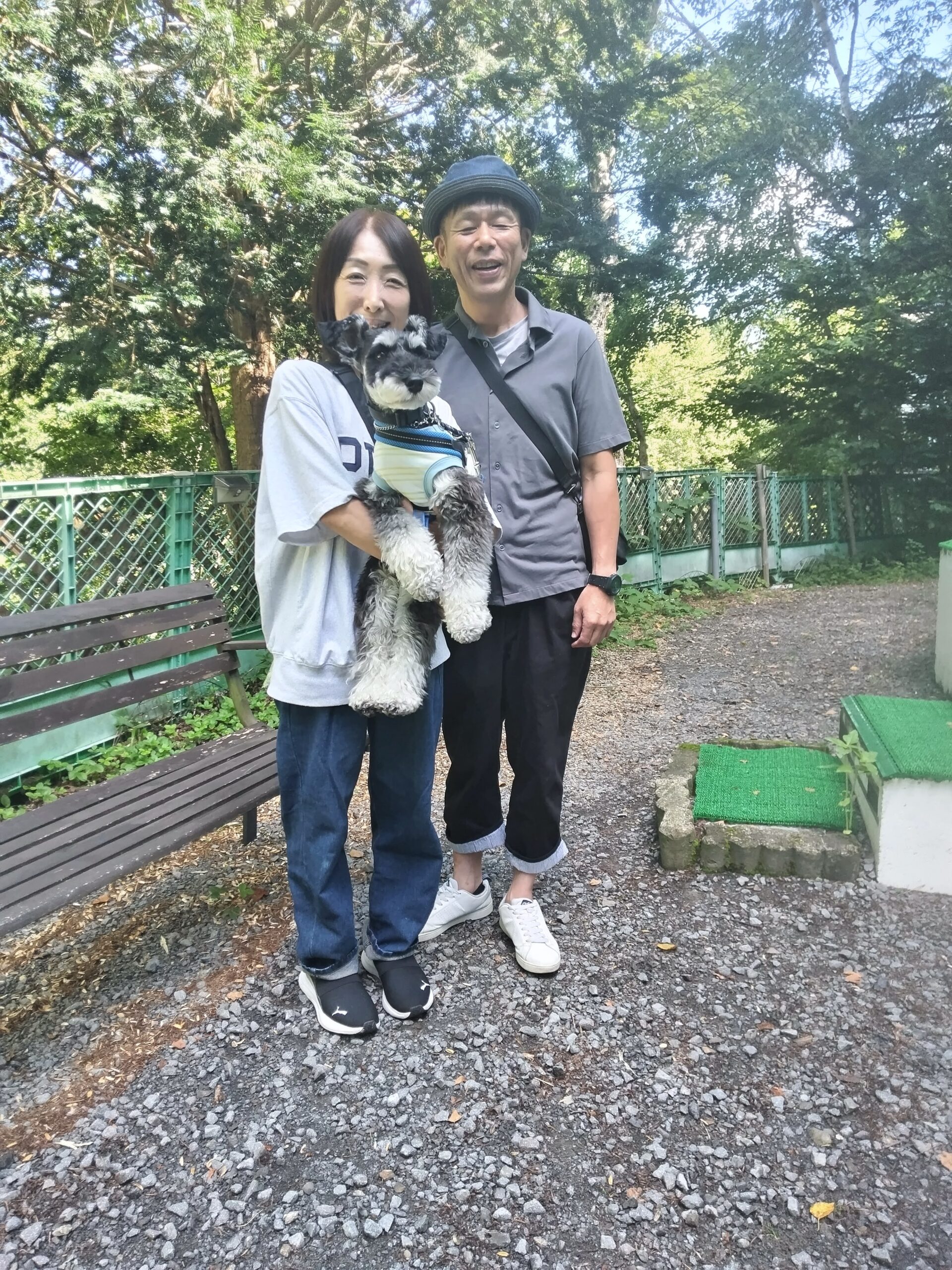 我が家の愛犬りくくん