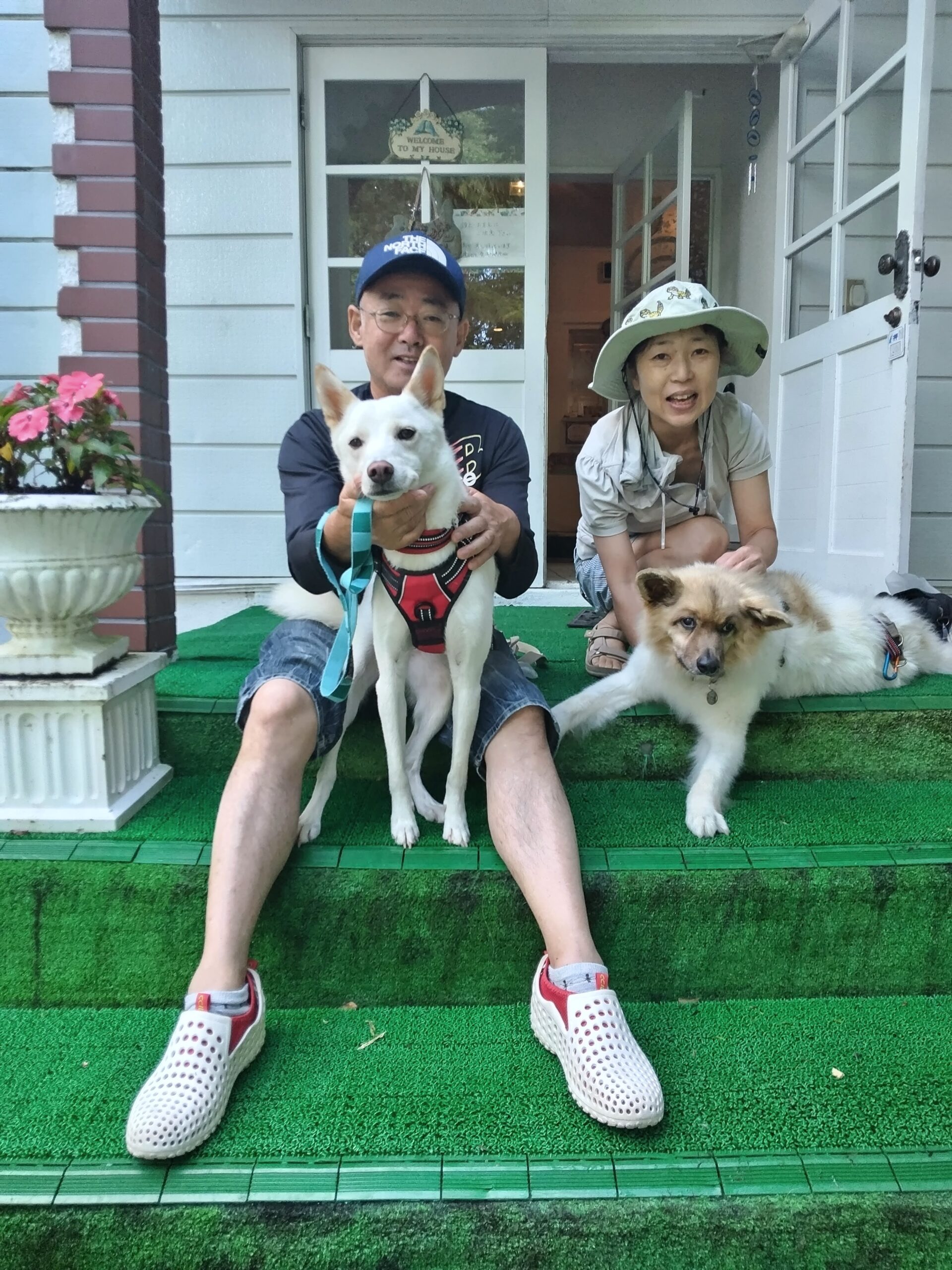我が家の愛犬ナナちゃんとクーくん