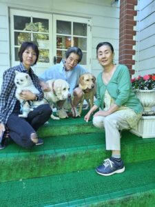 我が家の愛犬グリットちゃんトダイフクくん