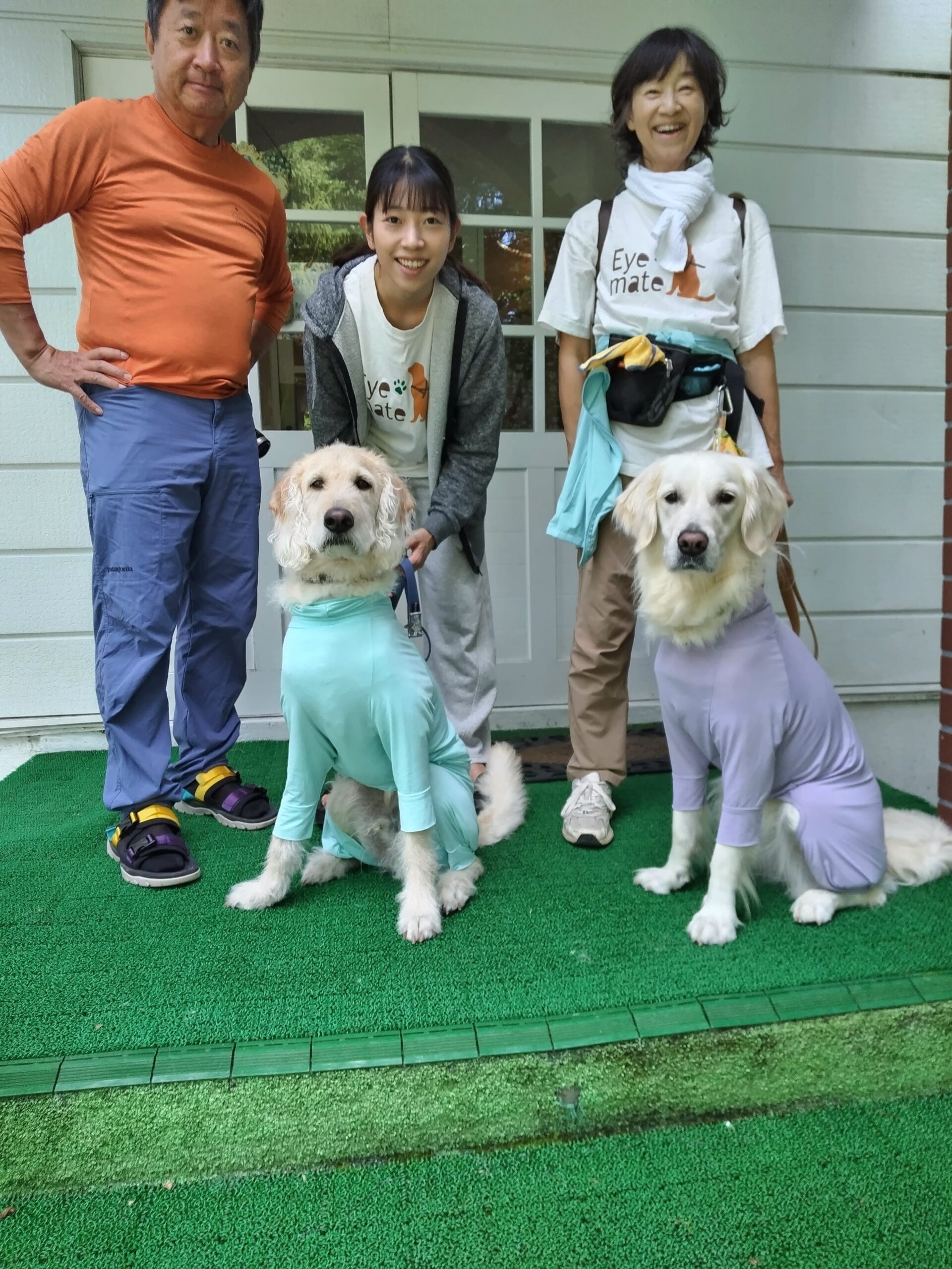 我が家の愛犬つむぎくんとうみちゃん