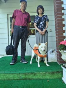 我が家の愛犬ふわりちゃん