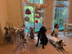 我が家の愛犬遠藤グループ