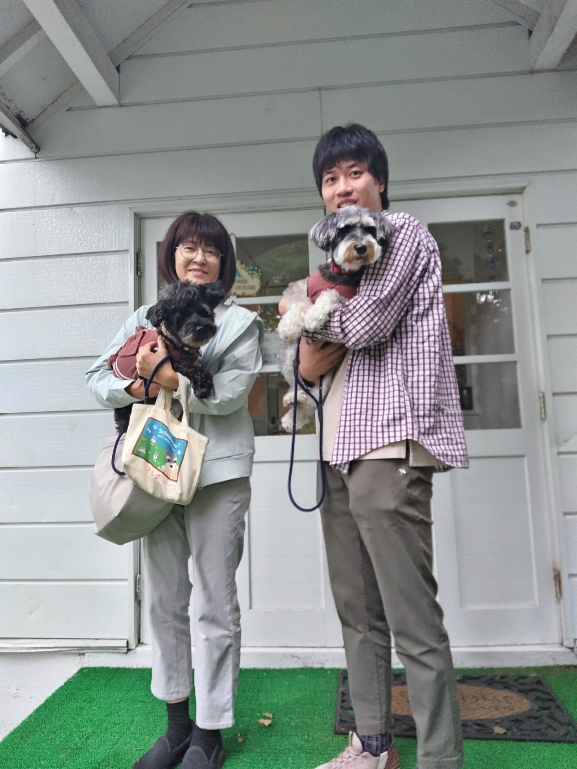 我が家の愛犬チョコとさくらちゃん