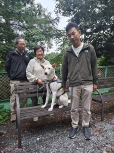 我が家の愛犬のんくん