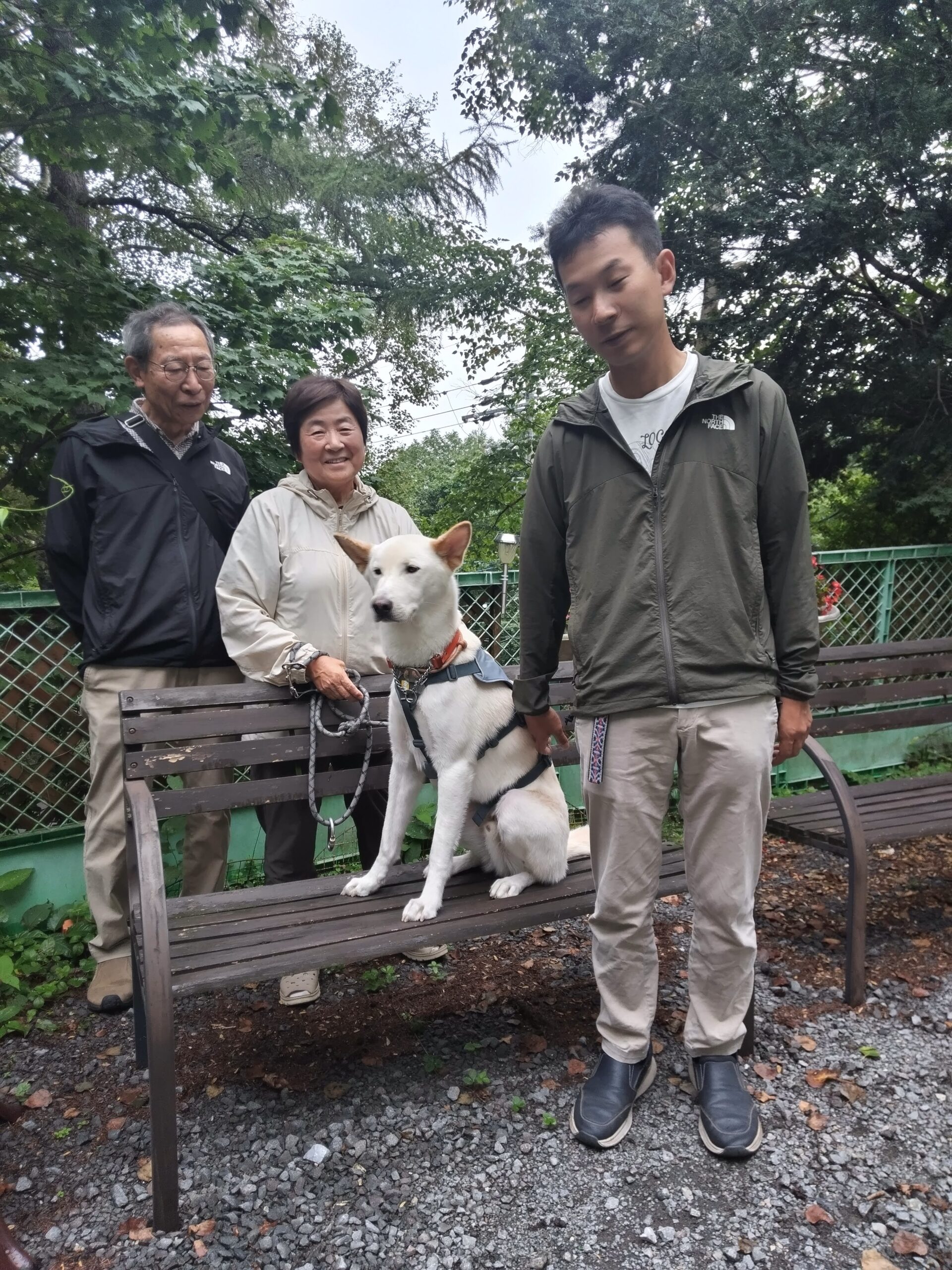 我が家の愛犬のんくん