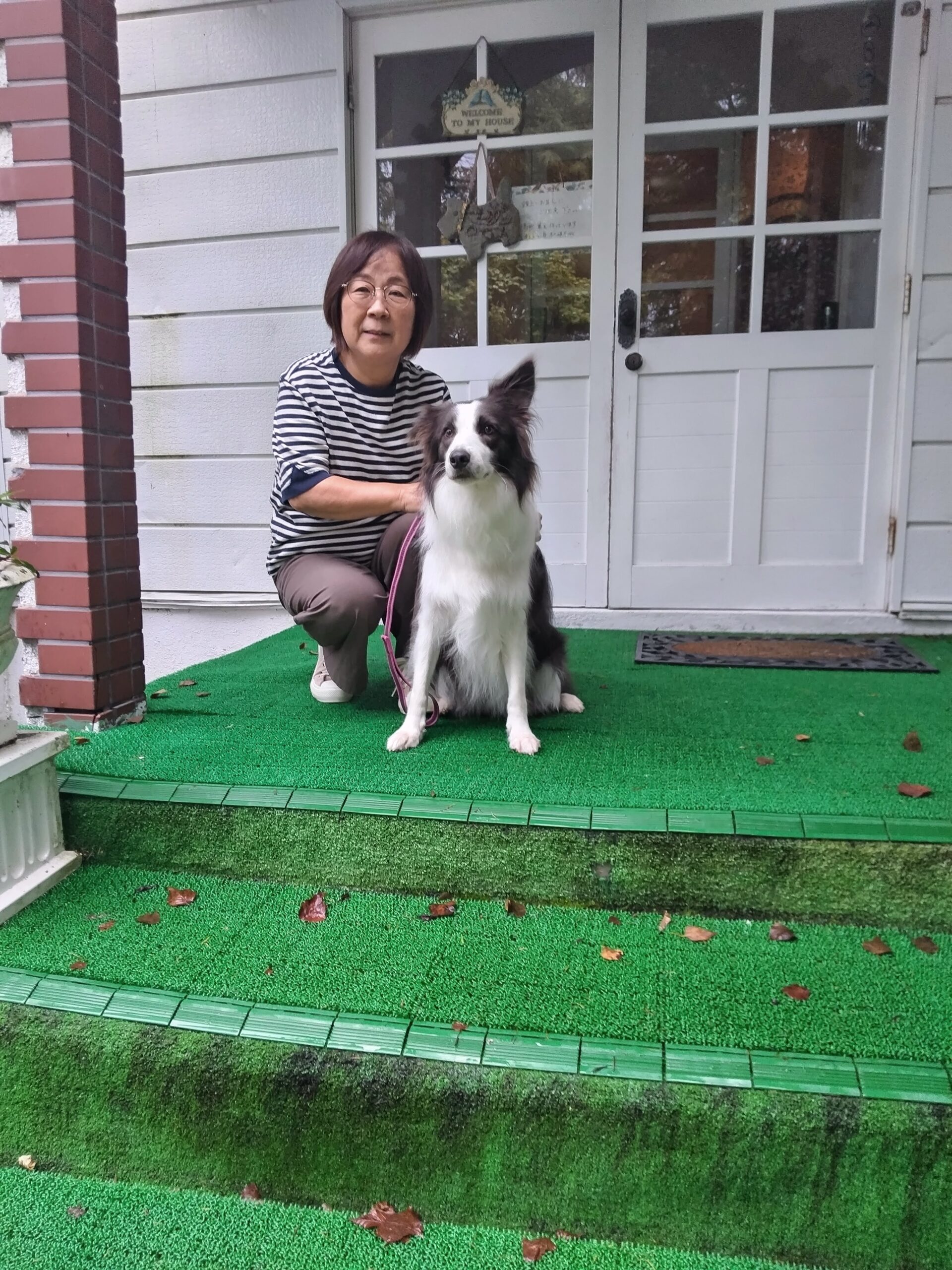 我が家の愛犬ももちゃん