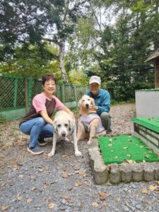 我が家の愛犬コルマちゃん