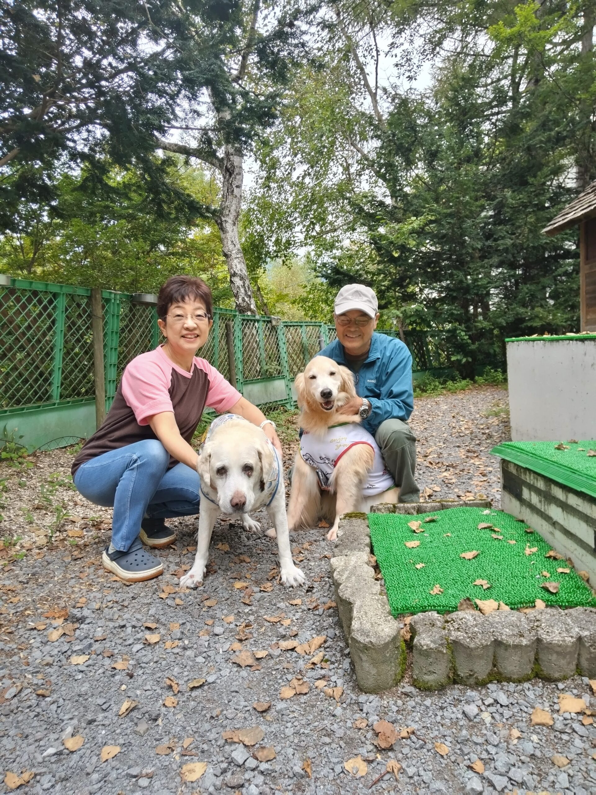 我が家の愛犬コルマちゃん