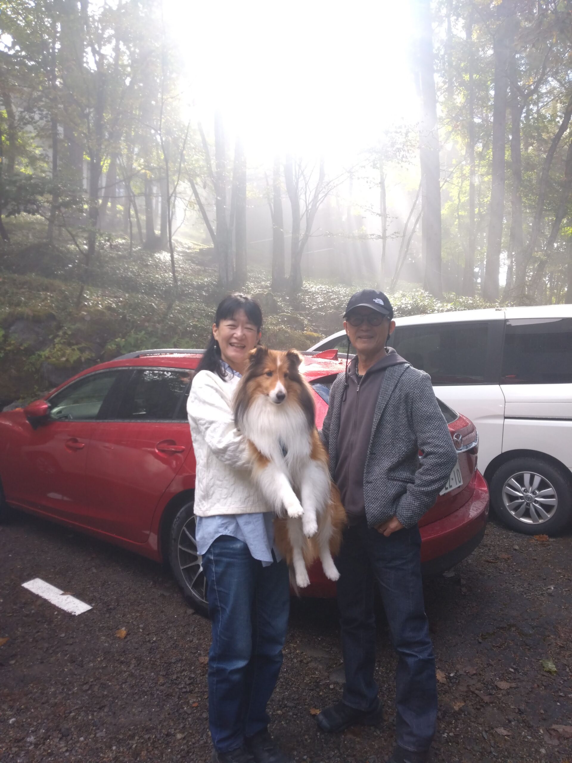 我が家の愛犬リオンちゃん