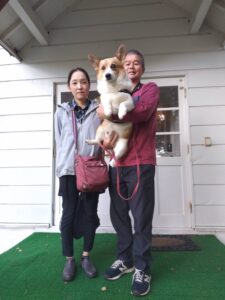 我が家の愛犬ケンゾウくん