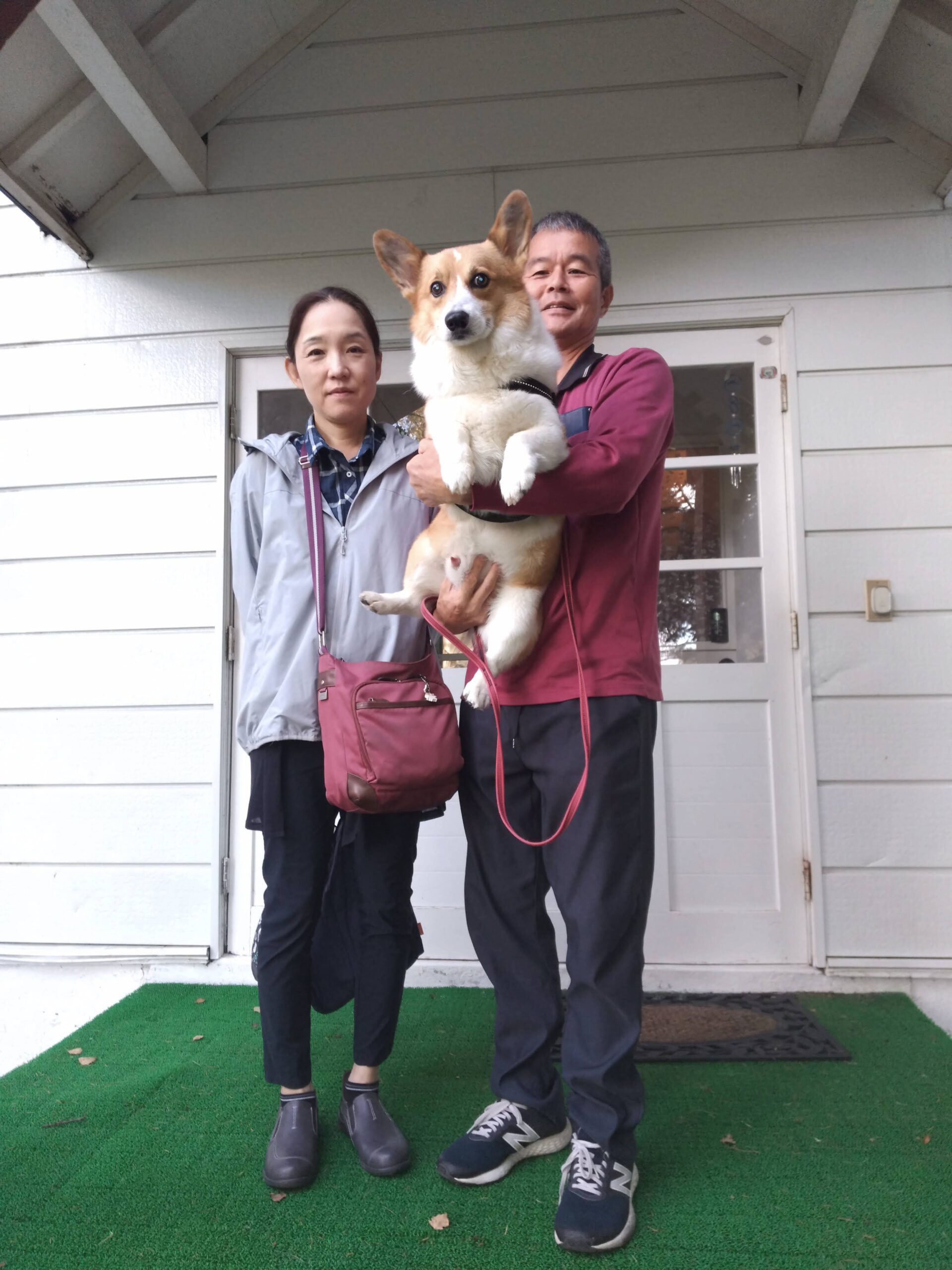 我が家の愛犬ケンゾウくん