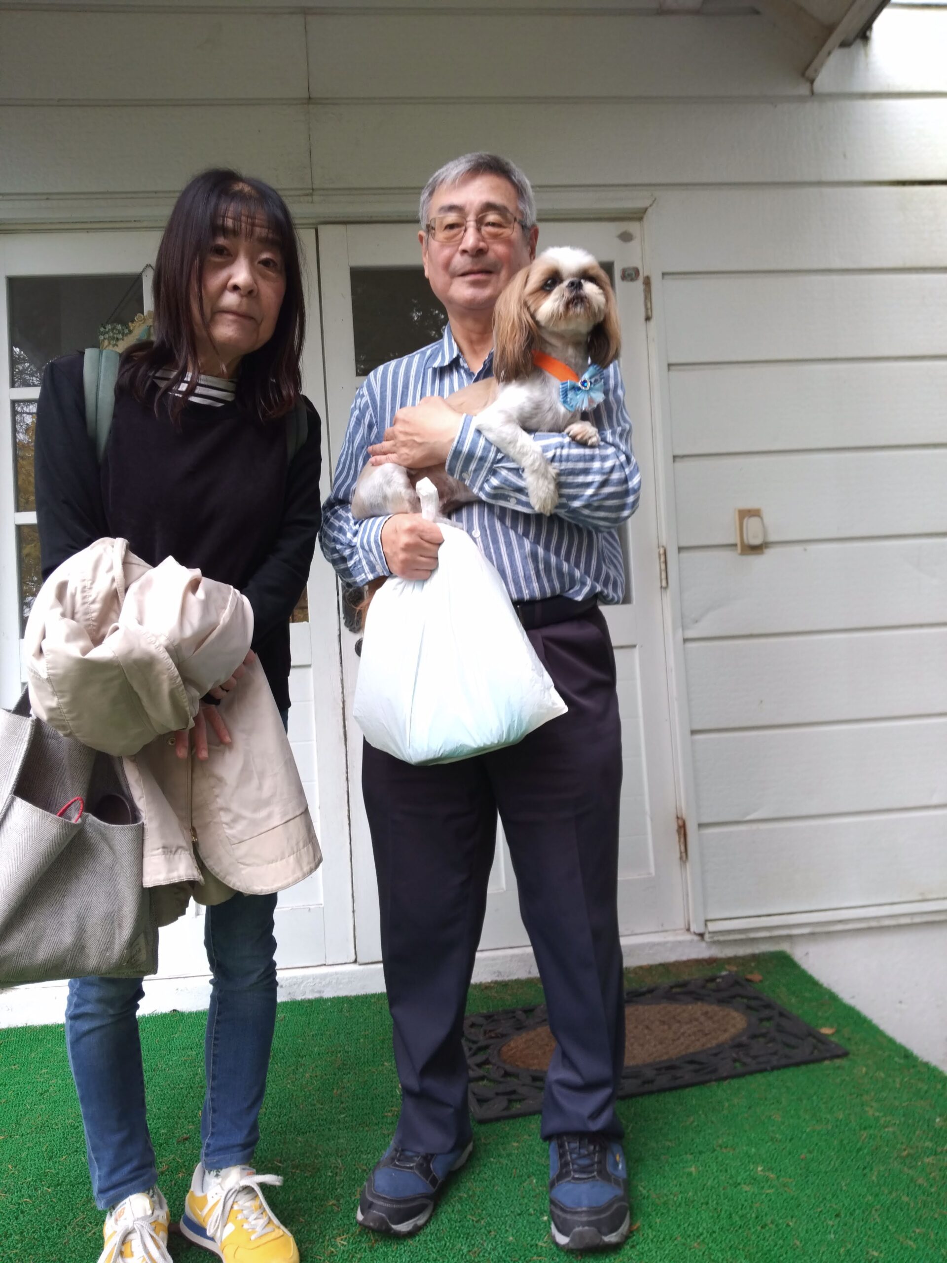 我が家の愛犬りんちゃん