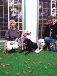 我が家の愛犬フィリップくん・コークくん・グラブくん