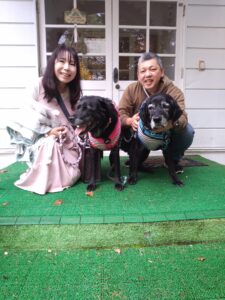 我が家の愛犬だいすけくんとハミングちゃん
