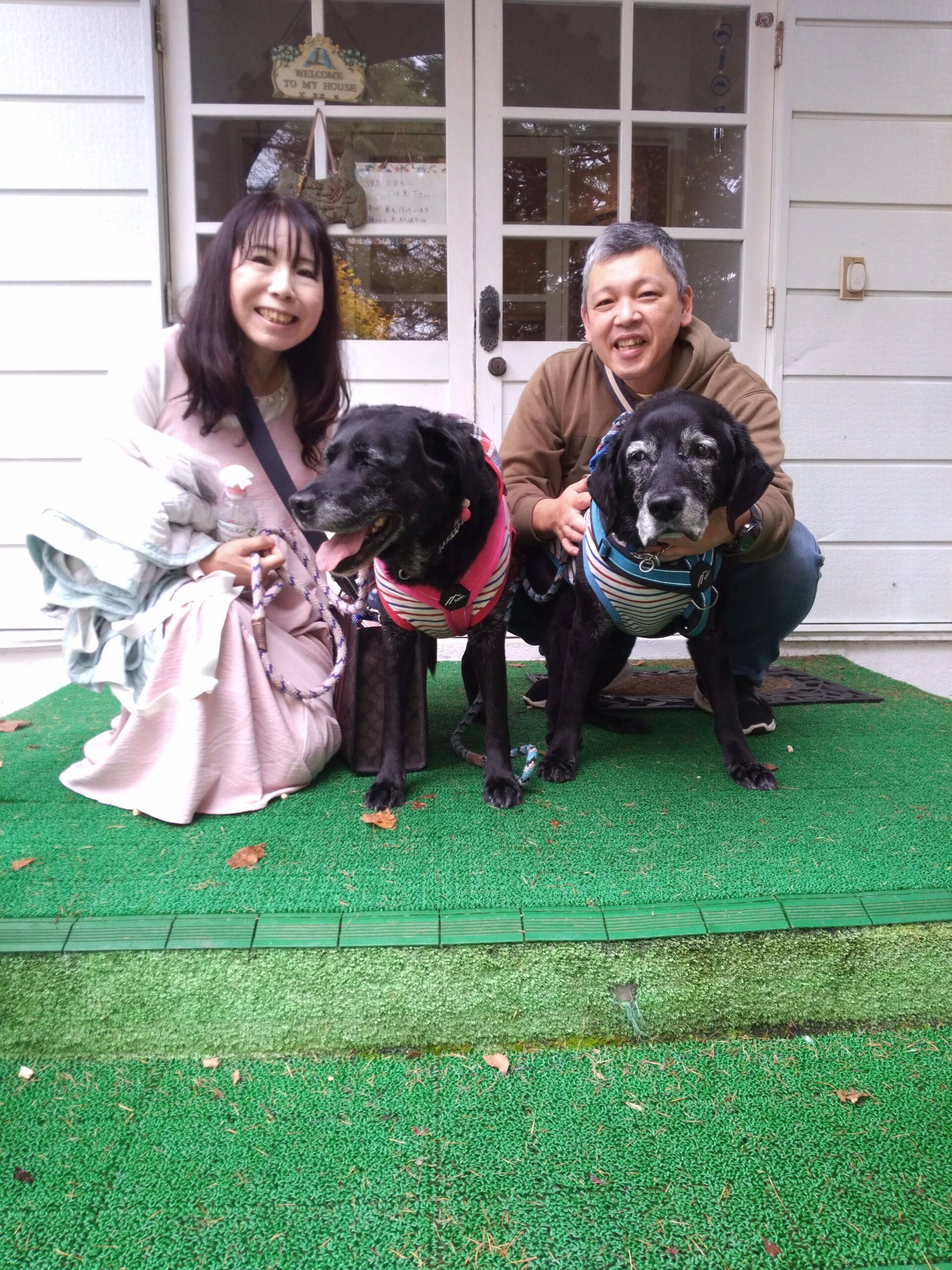 我が家の愛犬だいすけくんとハミングちゃん