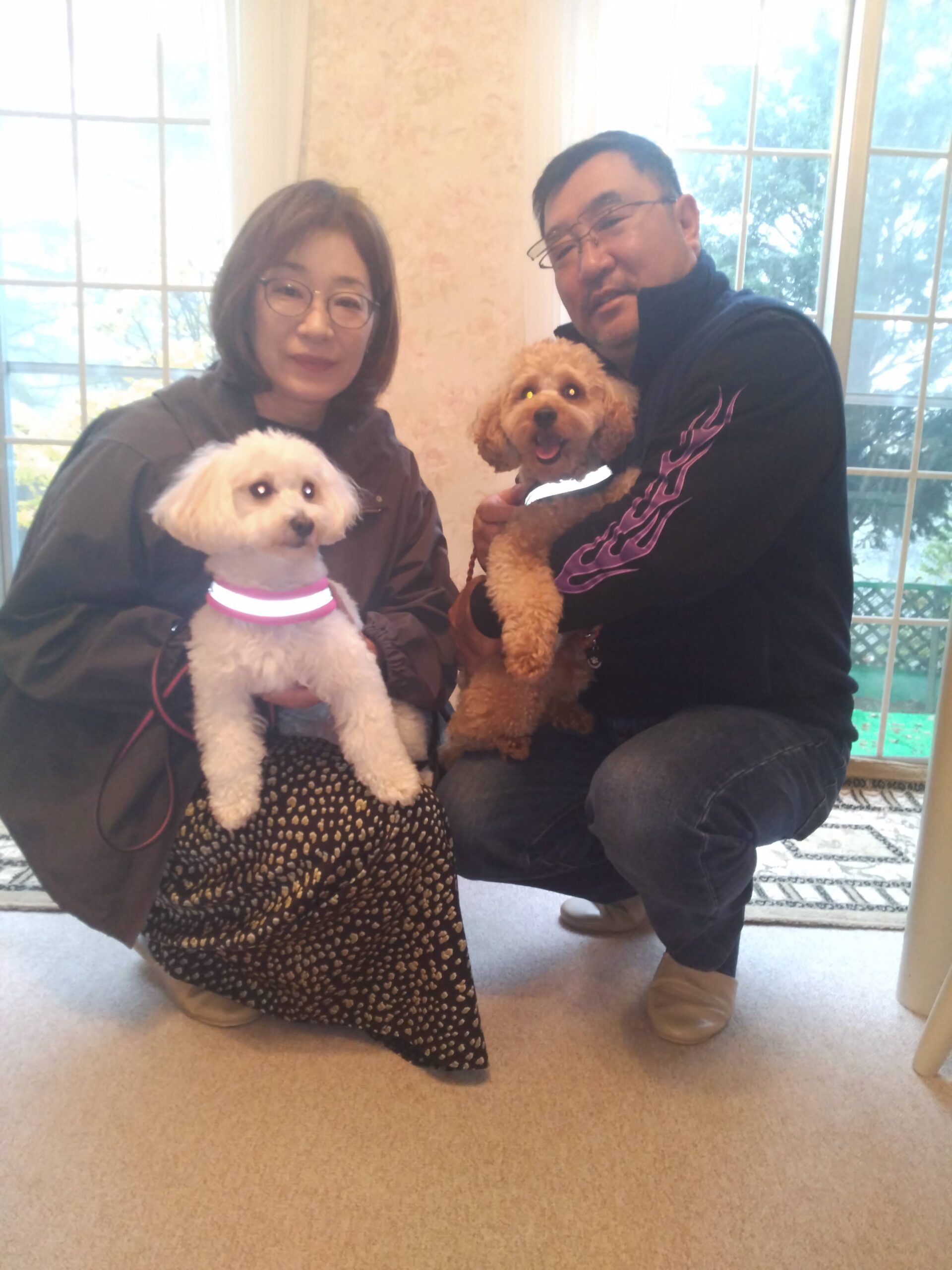 我が家の愛犬まるくんとちょこくん