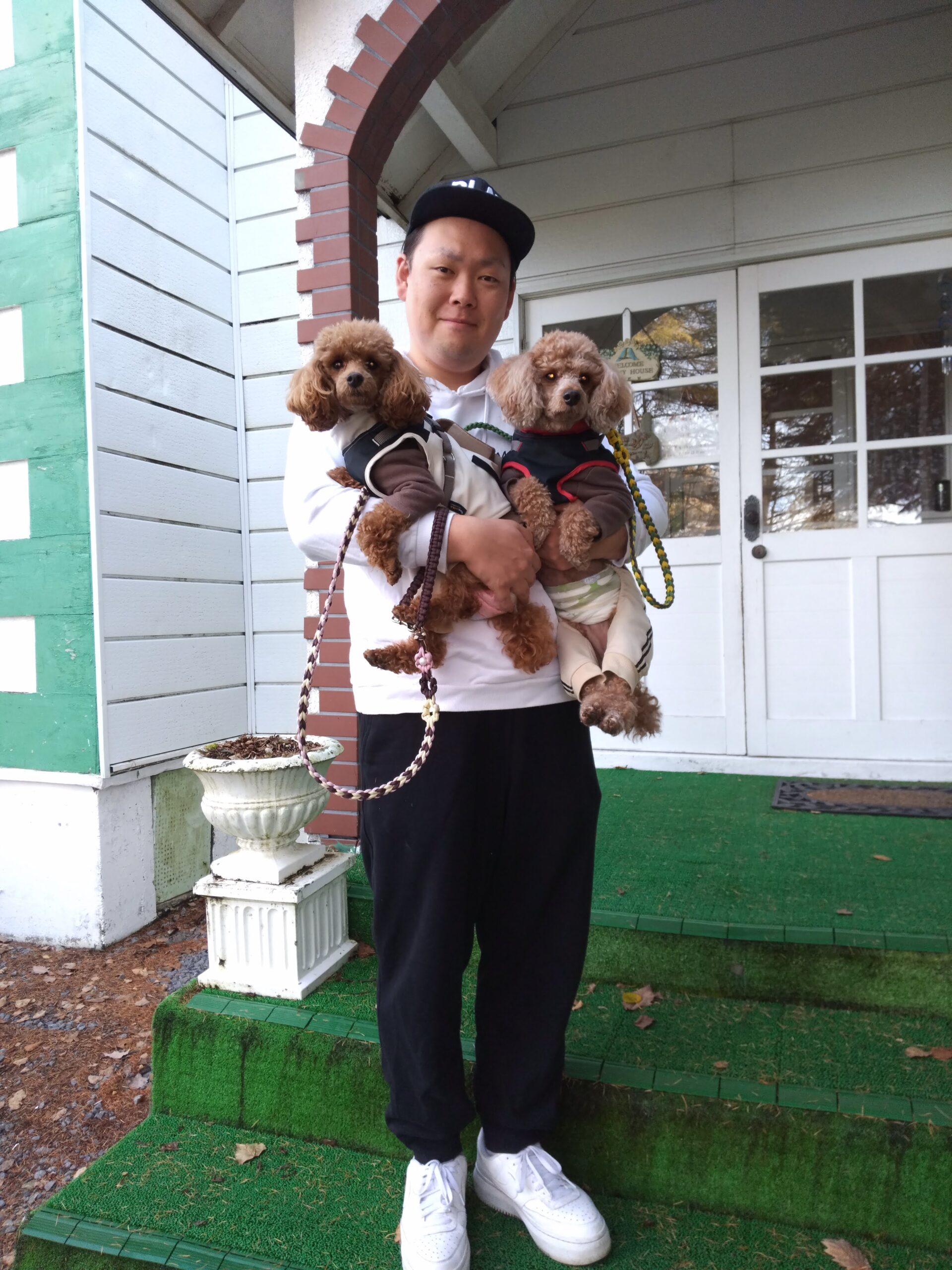 我が家の愛犬茶太郎くんと杏ちゃん