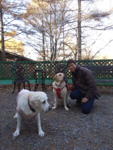 我が家の愛犬るなちゃん