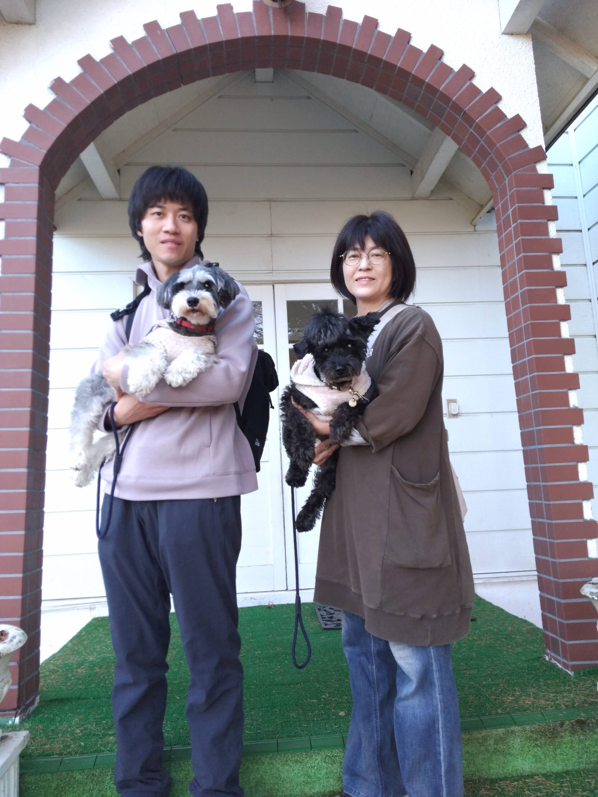 我が家の愛犬チョコとさくらちゃん