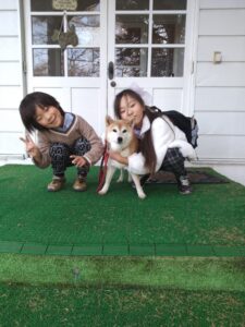 我が家の愛犬メイ・ビーちゃん