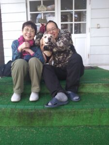 我が家の愛犬ラブ太くん